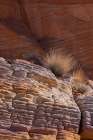 USA-Nevada Abstract lines in the sandstone-Valley of Fire State Park Art Print